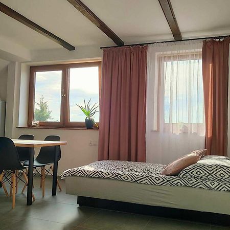 Apartamenty U Anety Wilkasy Exterior foto
